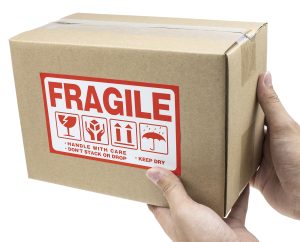 Fragile Fragile